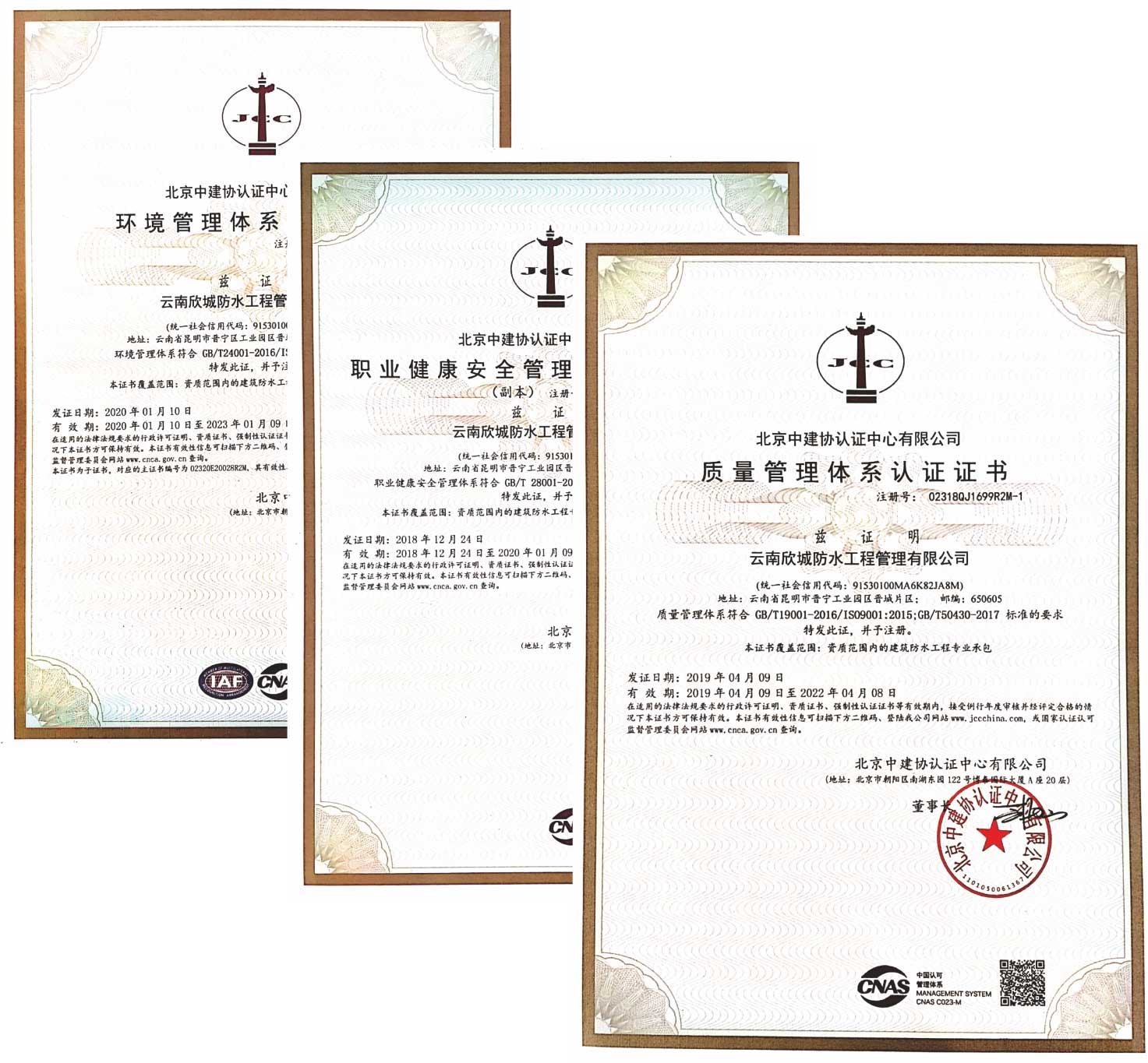 2006.jpg