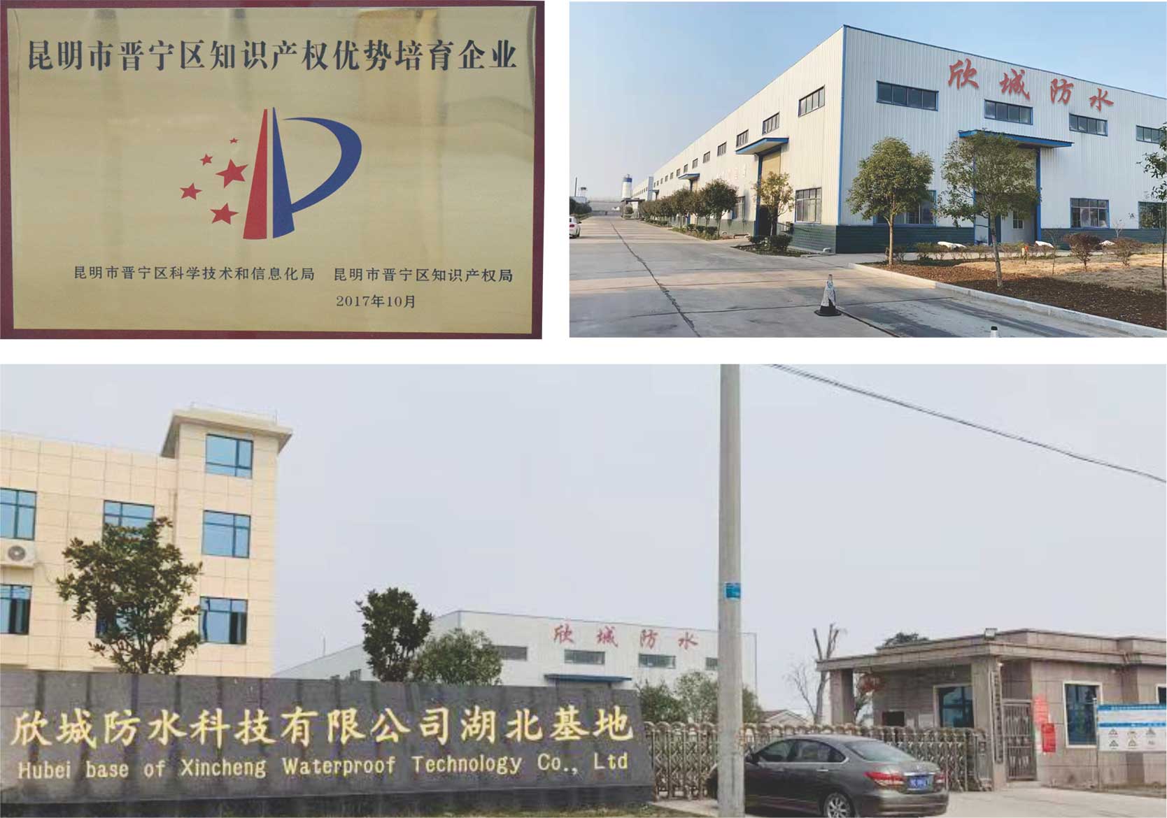 2019-3.jpg