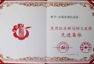 获楚商抗击新冠先进集体